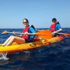 dolphins-tenerife-kayak-snorkeling (3)